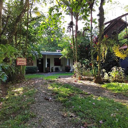 Hotel Casona Tica Linda Sarapiquí Exteriér fotografie